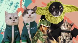 Costumes and apparel