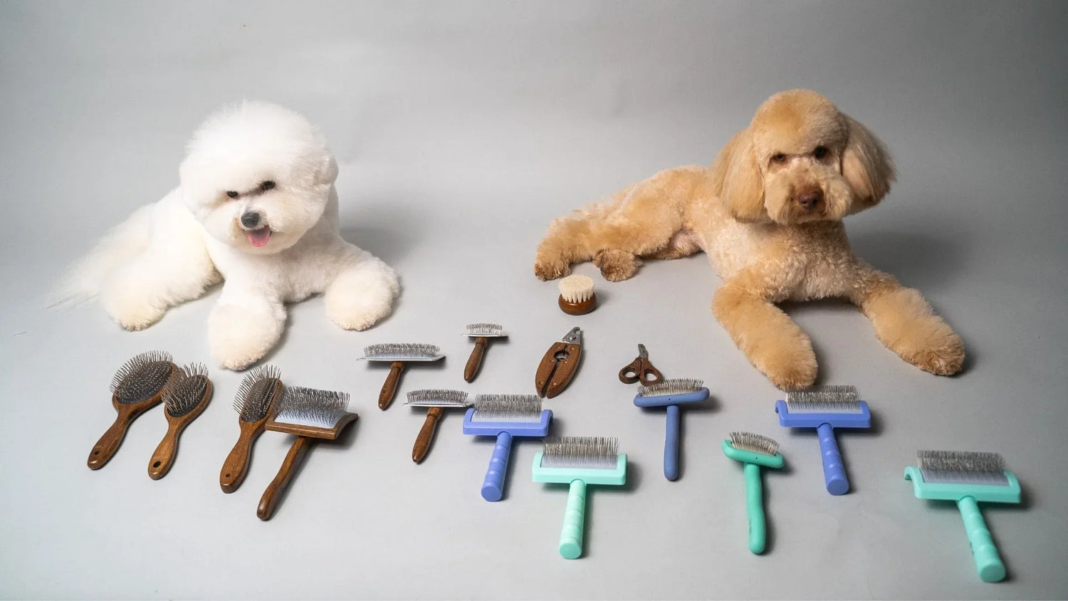 Brushes
