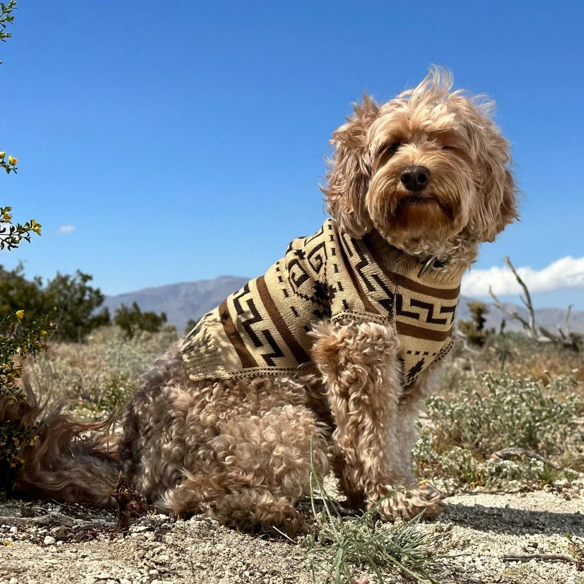 Sweaters