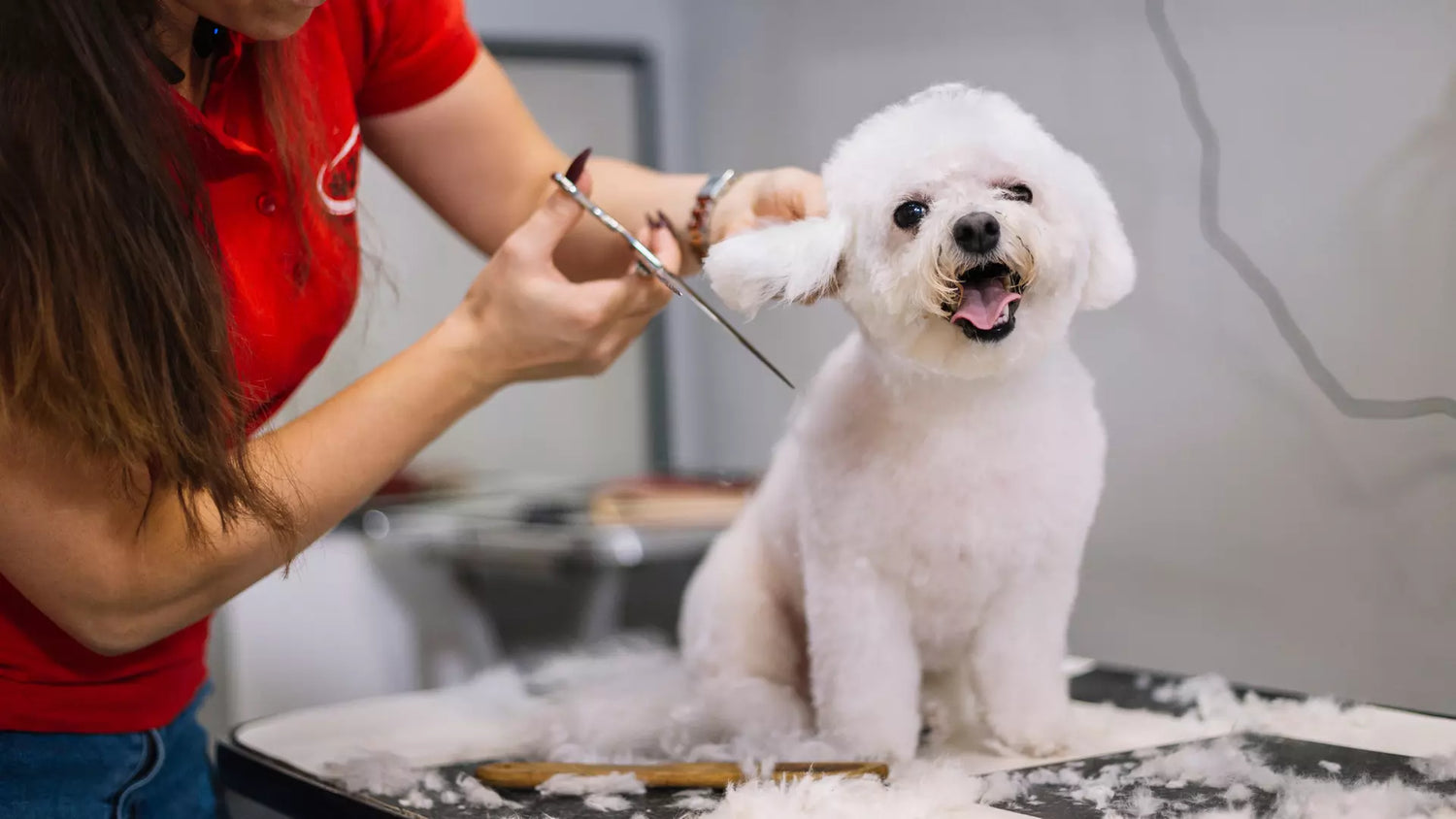 Grooming Supplies